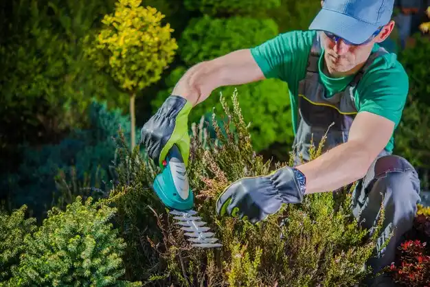 landscaping services Floral Park